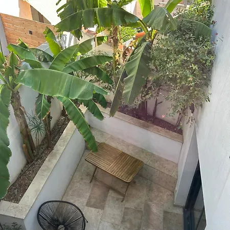 Maison D'architecte Avec Piscine Au Centre-ville